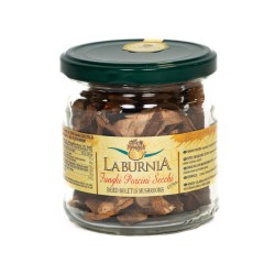 Funghi Porcini Secchi Extra 0 30gr Tab G