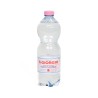 Acqua Min S Giorgio Nat 0 50cl Petx24