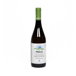 Chardonnay Bio 0 75 Paolo Leo