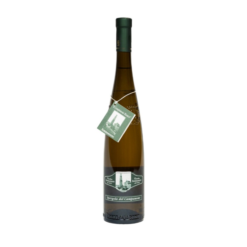 Lambrusco Il Campanone Bianco