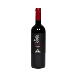 Syrah Sallier De La Tour